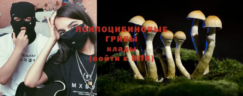 Псилоцибиновые грибы Magic Shrooms  Курган 